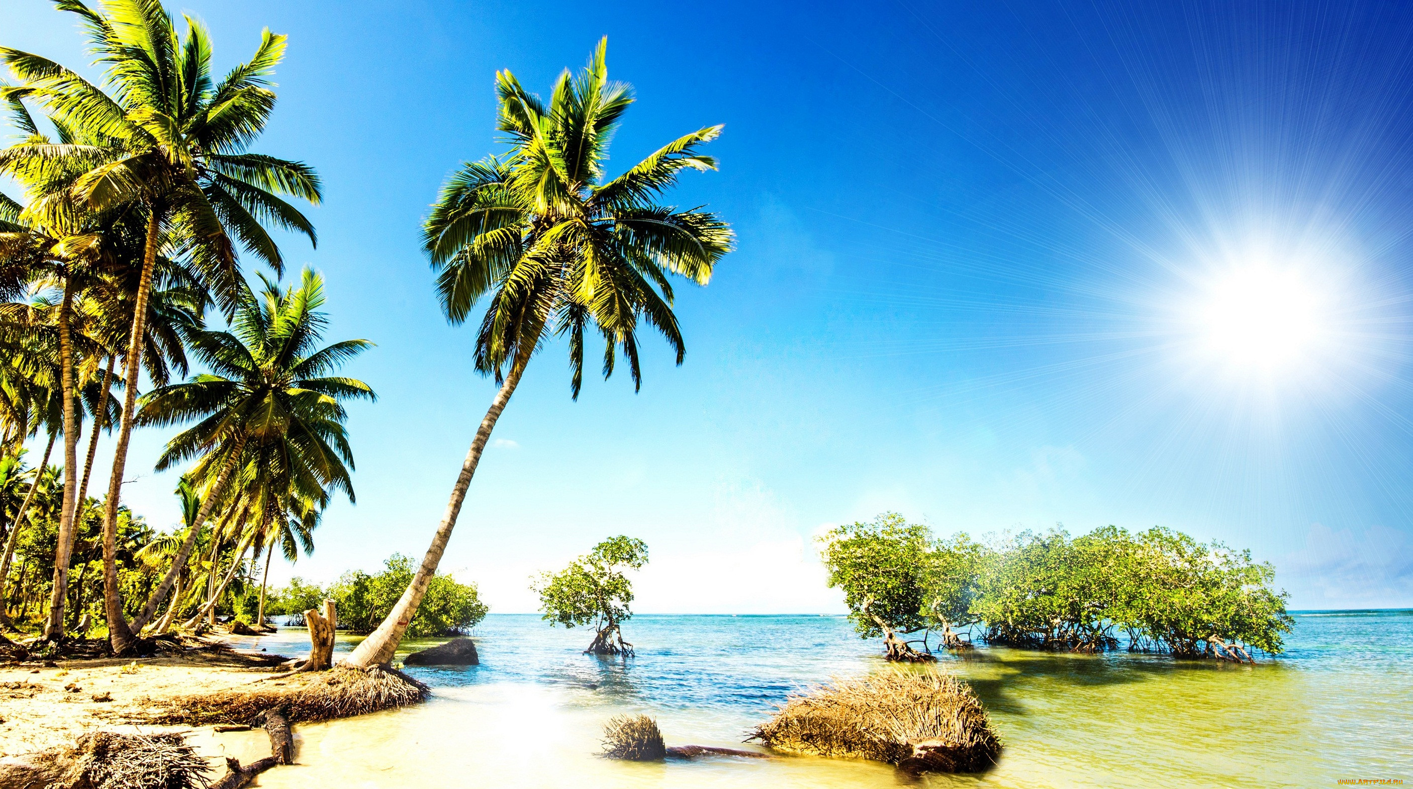 , , summer, sunshine, ocean, sea, beach, , , , , , vacation, palms, paradise, tropical